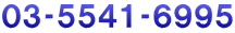 {Ђ⍇ 03-5541-6995